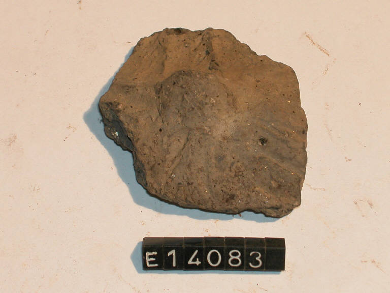 vaso - cultura di Golasecca (secc. V/ IV a.C)