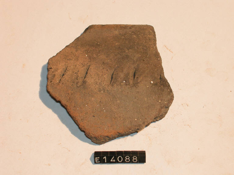 olla - cultura di Golasecca (secc. V/ IV a.C)