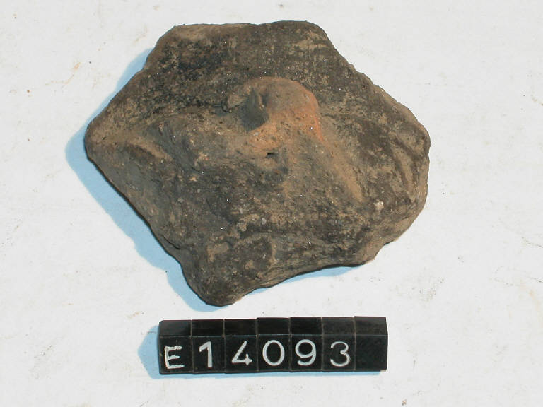 ansa - cultura di Golasecca (secc. V/ IV a.C)