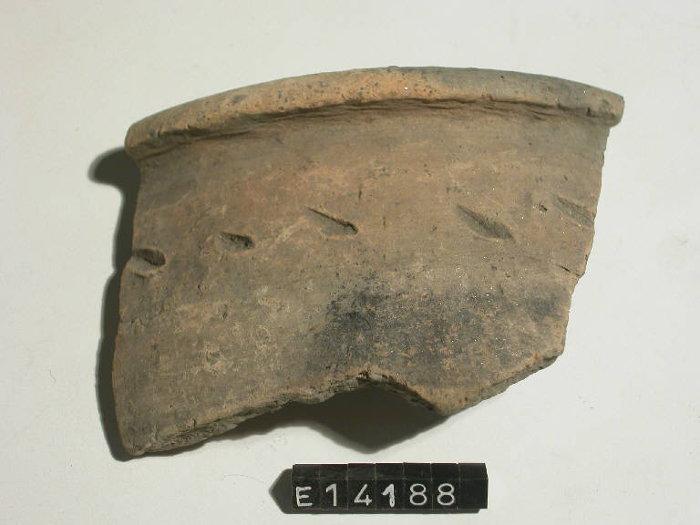 olla - cultura di Golasecca (secc. V/ IV a.C)