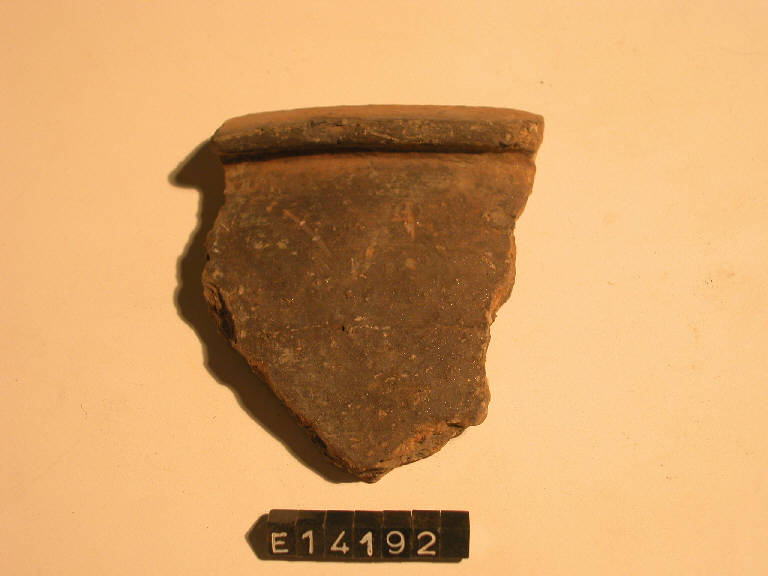 olla a pareti costolate - cultura di Golasecca (secc. V/ IV a.C)