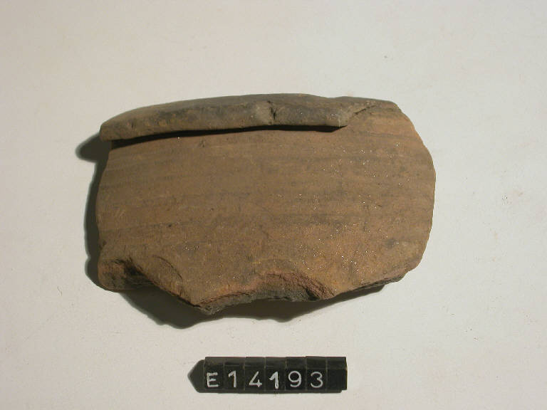 olla a pareti costolate - cultura di Golasecca (secc. V/ IV a.C)