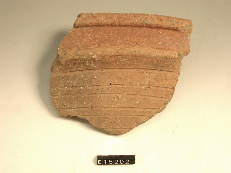 ciotola - cultura di Golasecca (secc. V/ IV a.C)