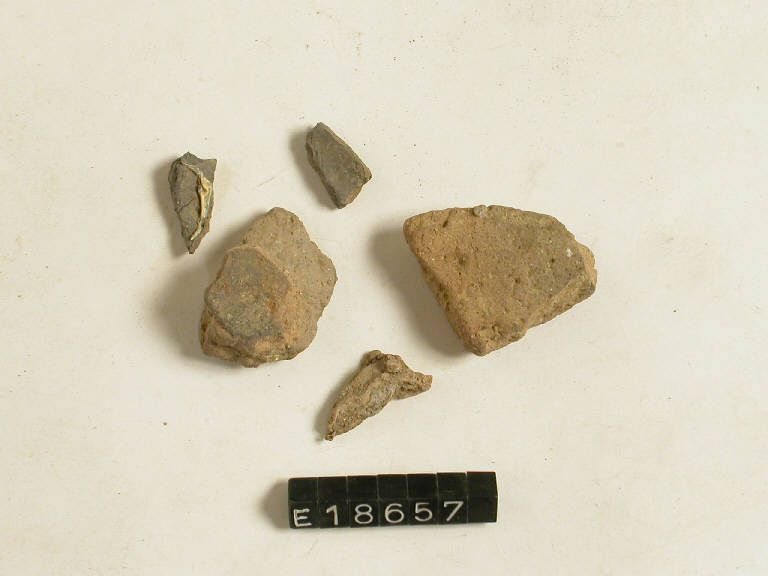 vaso (frammenti di) - Cultura di Canegrate (sec. XIII a.C)