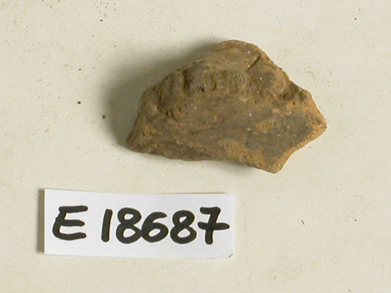 vaso (frammenti di) - Cultura di Canegrate (sec. XIII a.C)