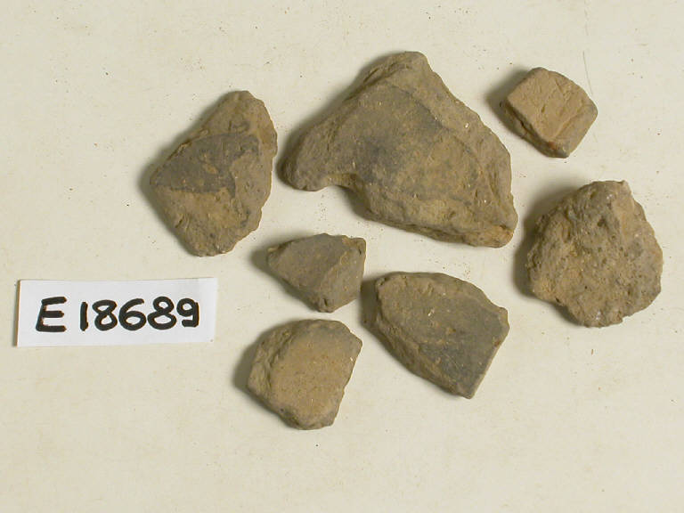 fondo - Cultura di Canegrate (sec. XIII a.C)