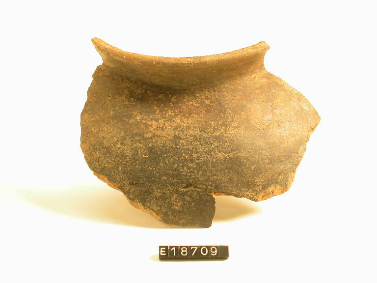 urna globulare - cultura di Golasecca (secc. VI/ V a.C)