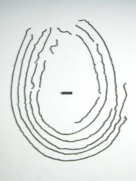 catenella - periodo di età del Ferro (secc. VII/ VI a.C)