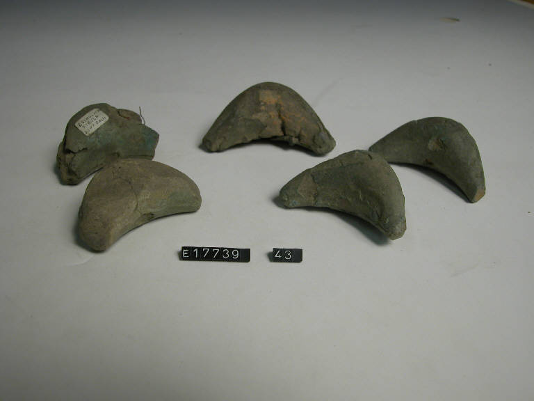 fibula a sanguisuga - Cultura di Golasecca (metà sec. V a.C)