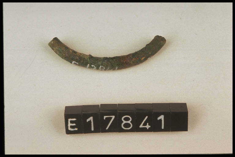 anello - Cultura di Golasecca (primo quarto sec. IV a.C)