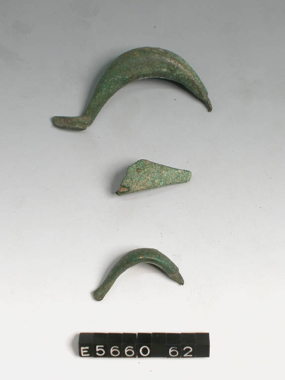 fibula a sanguisuga - cultura di Golasecca (secc. VI/ IV a.C)