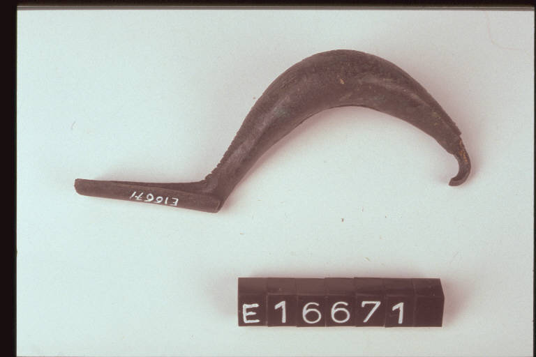 fibula a sanguisuga - cultura di Golasecca (fine/ inizio secc. VI/ V a.C)