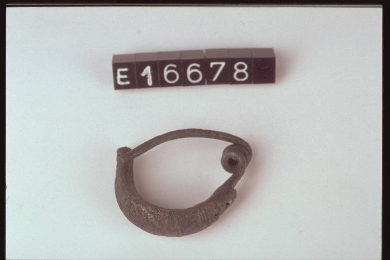 fibula a sanguisuga - cultura di Golasecca (secc. VI/ V a.C)