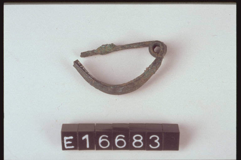 fibula ad arco pieno - cultura di Golasecca (secc. VI/ V a.C)