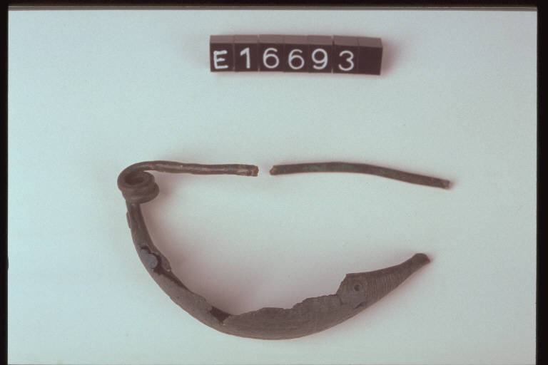 fibula a navicella - cultura di Golasecca (secc. VII/ VI a.C)