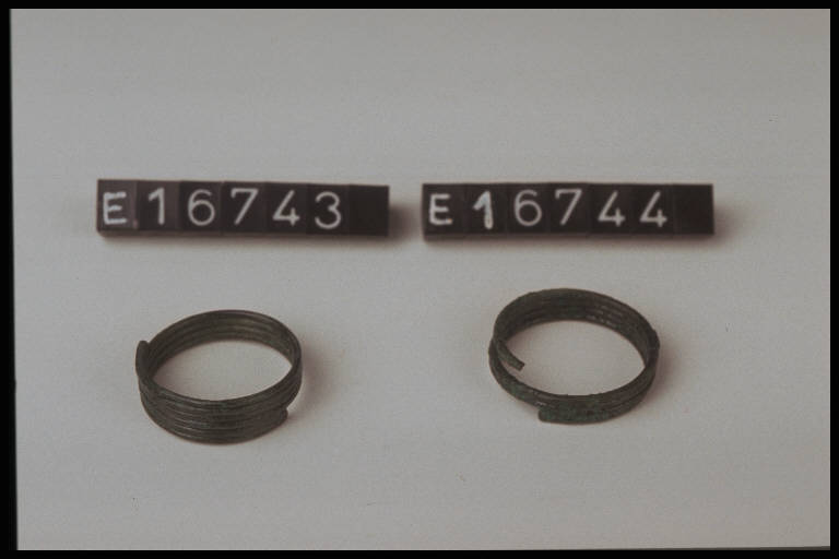 anello a spirale - cultura di Golasecca (secc. VIII/ V a.C)