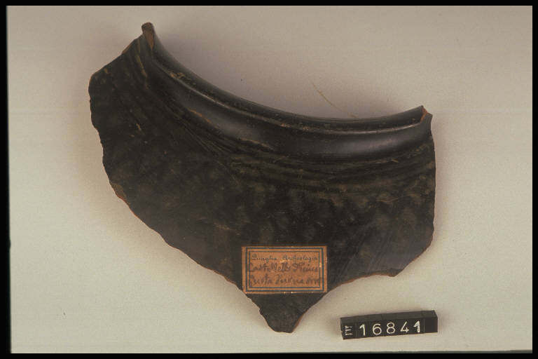 urna ovoide - cultura di Golasecca (fine/ inizio secc. VI/ V a.C)