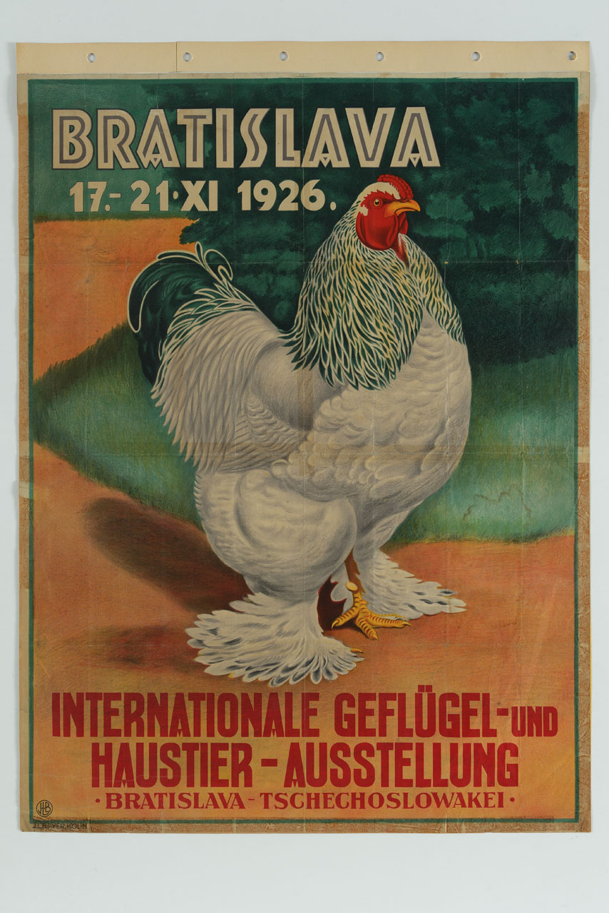 gallina presso una siepe (manifesto) - ambito cecoslovacco (sec. XX)