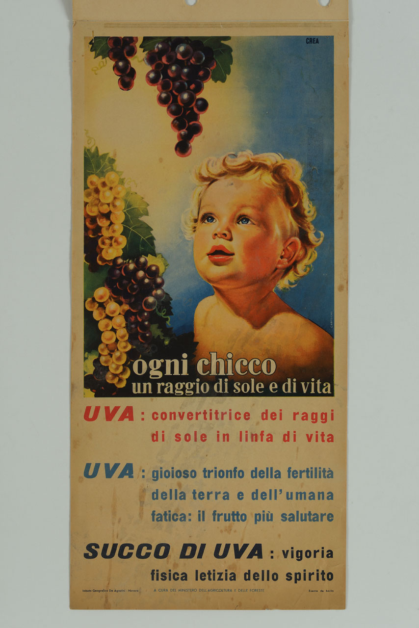 bambino osserva dei grappoli d'uva (manifesto) di Carfagni Federioco, Crea - Centro Grafico Pubblicitario (sec. XX)