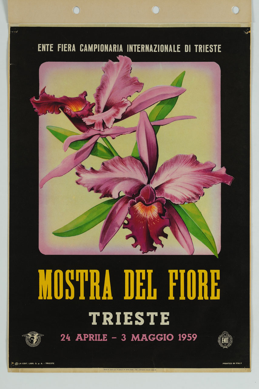 orchidee (manifesto) - ambito italiano (sec. XX)