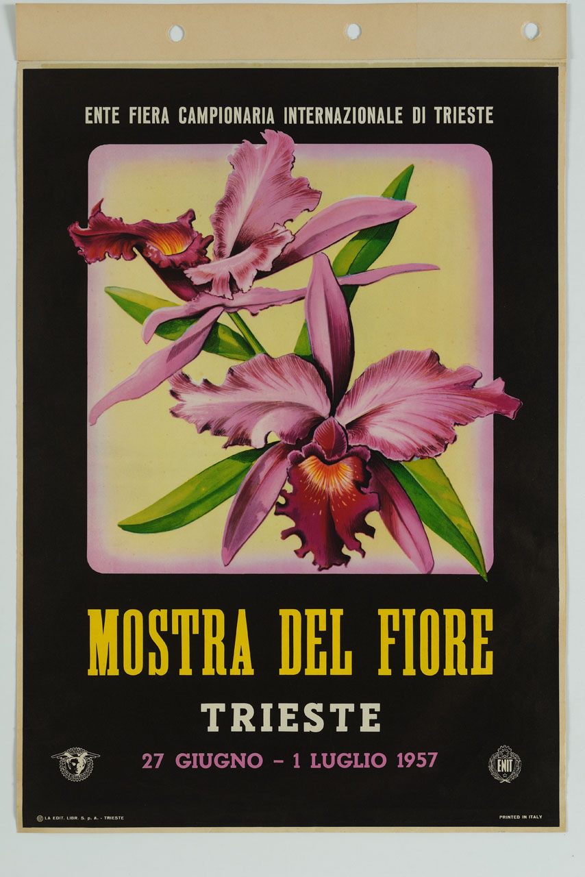 orchidee (manifesto) - ambito italiano (sec. XX)