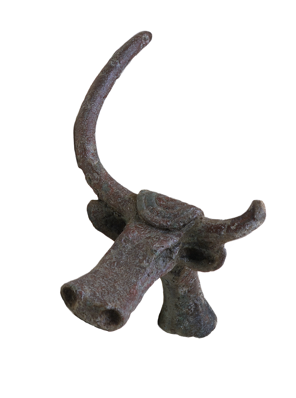 Navicella