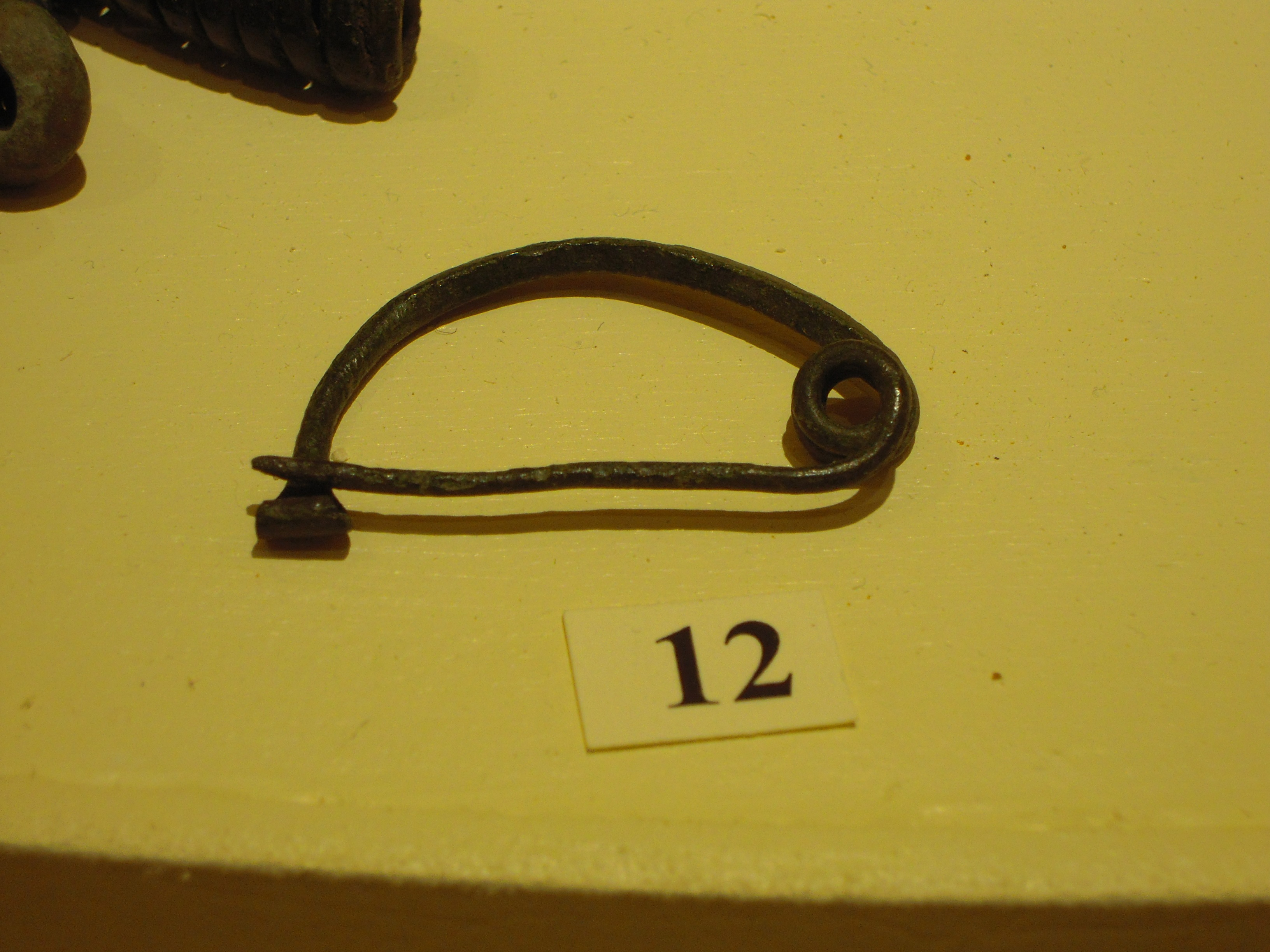 Fibula