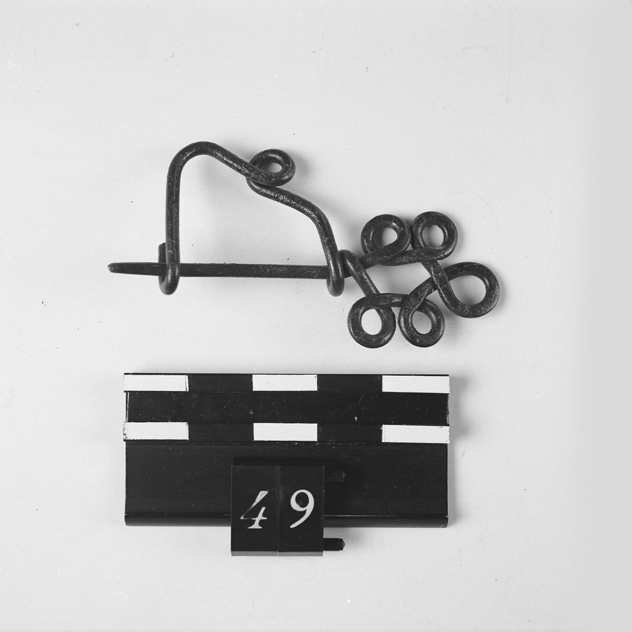 Fibula 