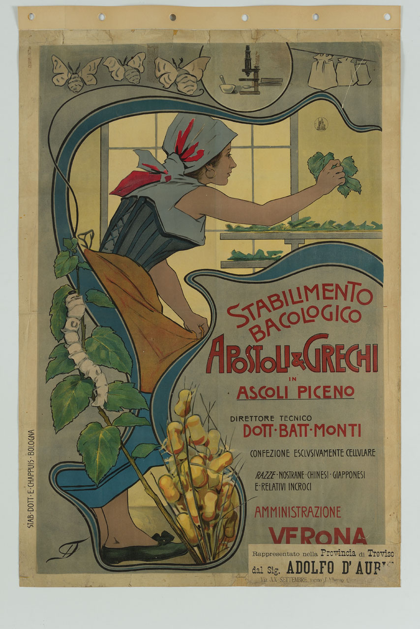 operaia dispone foglie di gelso su scaffali entro cornice con bachi da seta (manifesto) di Casaltoli Carlo (attribuito) (sec. XX)