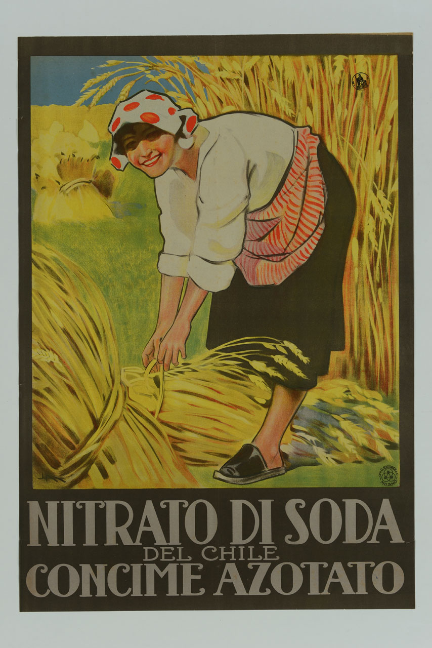 contadina sorridente legae fasci di spighe (manifesto) di Metlicovitz Leopoldo (sec. XX)