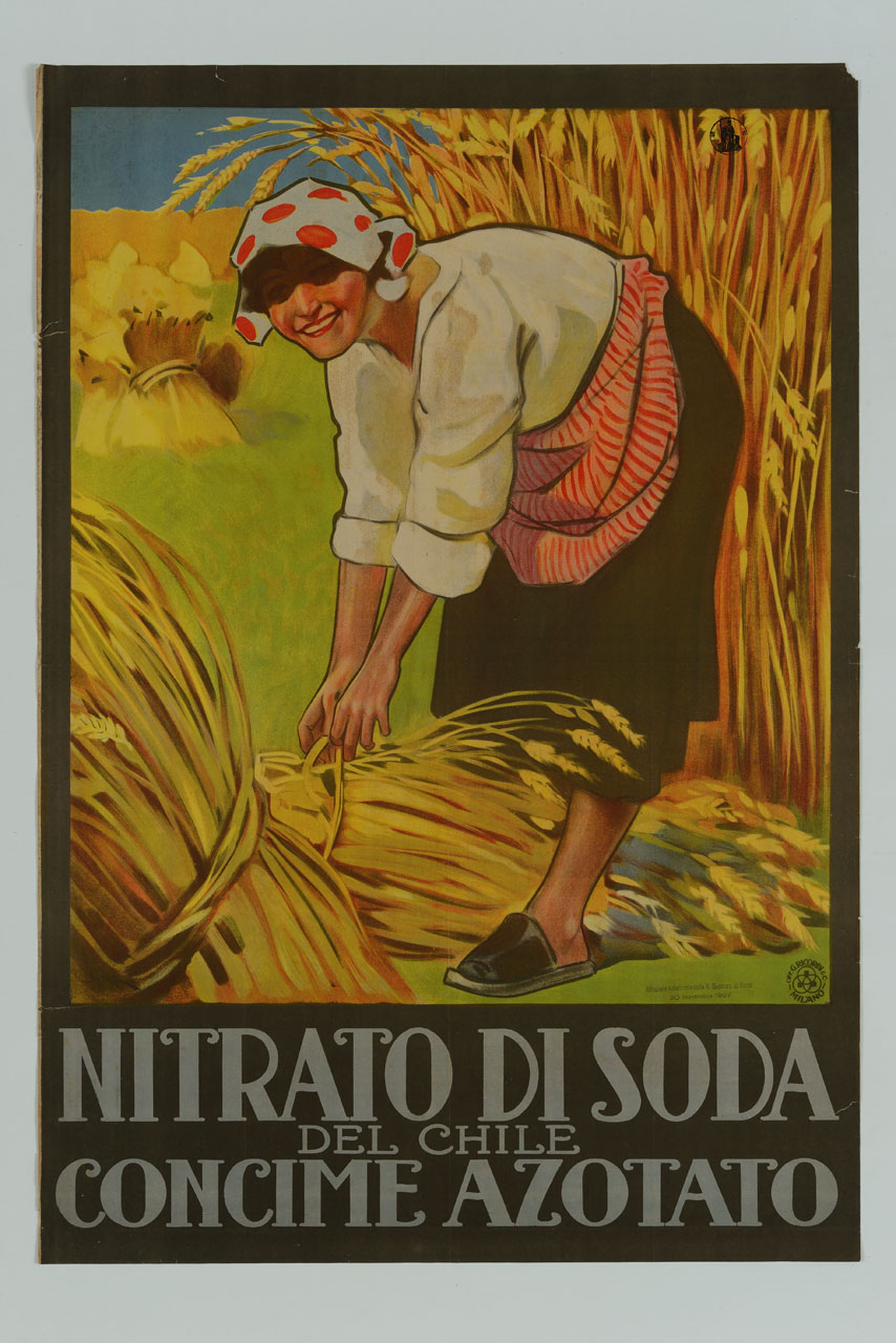 contadina sorridente lega fasci di spighe (manifesto) di Metlicovitz Leopoldo (sec. XX)