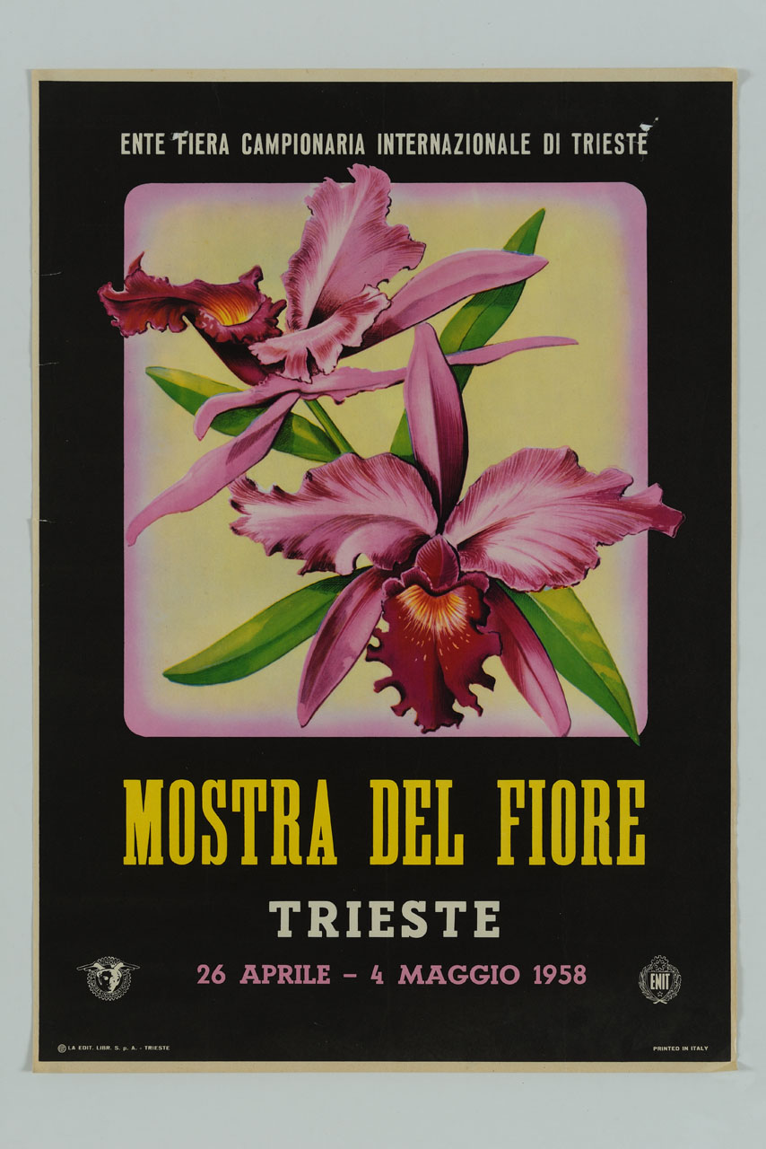 due fiori di iris (locandina) - ambito italiano (sec. XX)