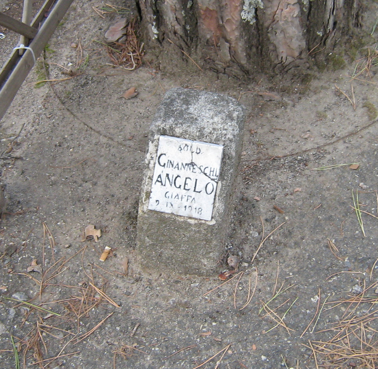 allegoria della Vittoria come aquila (monumento ai caduti - a colonna) di Notari Francesco (sec. XX)