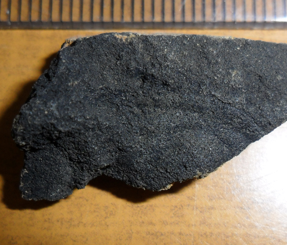 Fossile (trilobite, esemplare)