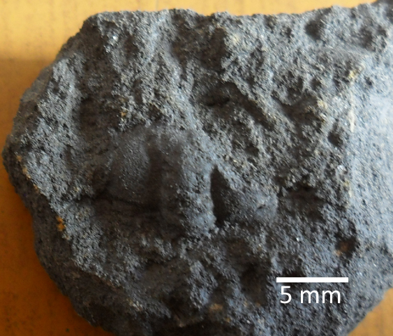 Fossile (trilobite, esemplare)