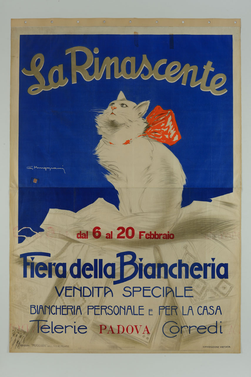 gatto bianco con fiocco rosso, seduto sopra della biancheria (manifesto) di Muggiani Giorgio (sec. XX)