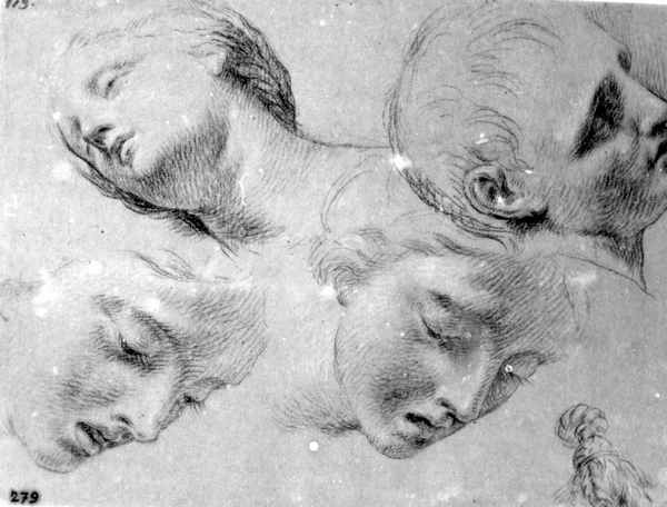 Studi di teste (disegno) di Nocchi Bernardino (terzo quarto sec. XVIII)