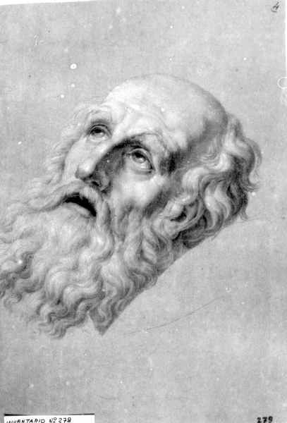 testa del Beato Pellegrino Laziosi, testa d'uomo con barba (disegno) di Nocchi Pietro (metà sec. XIX)