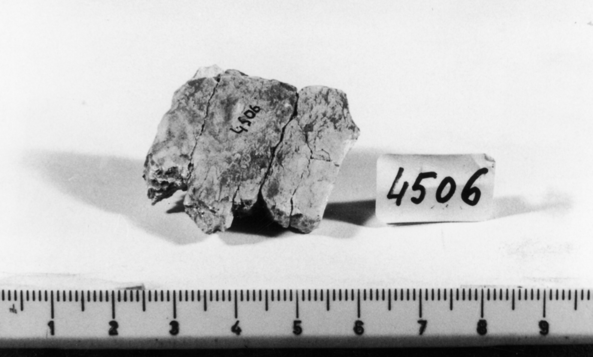 frammento non id - fase Piceno II (?) (sec. VIII a.C. (?))