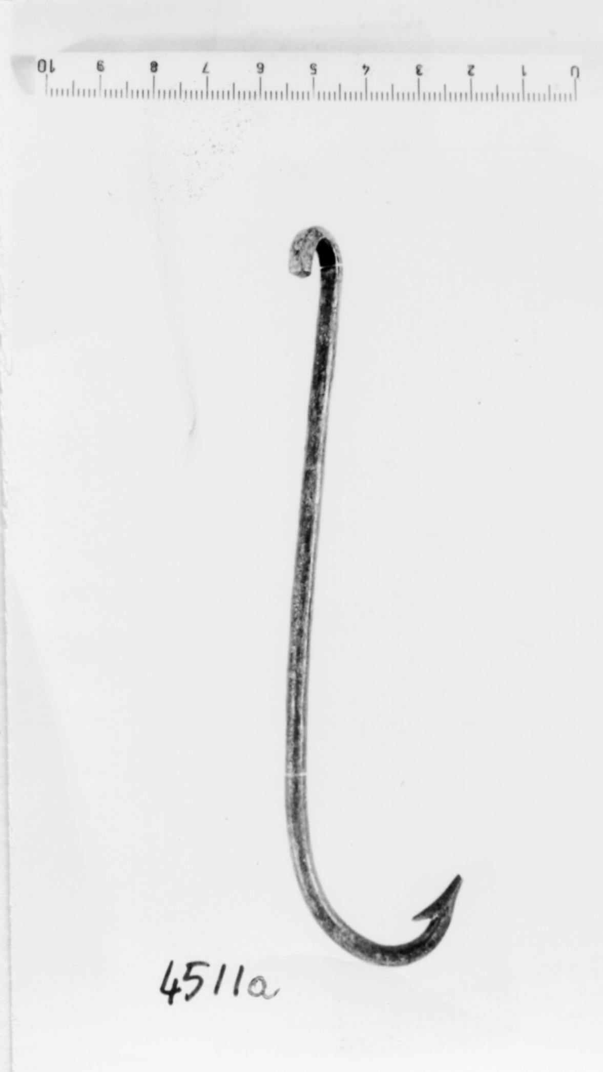 amo - fase Piceno V/ VI (secc. V - IV a.C)