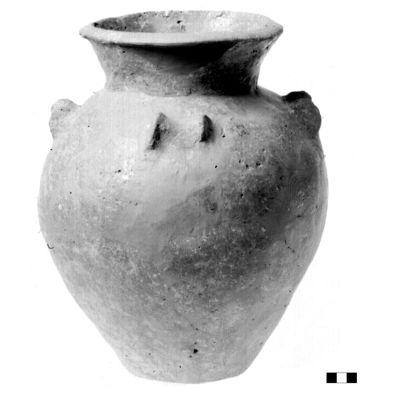 olla ovoide, Von Eles Masi, tipo 5B - fase Piceno IV (sec. VI a.C)