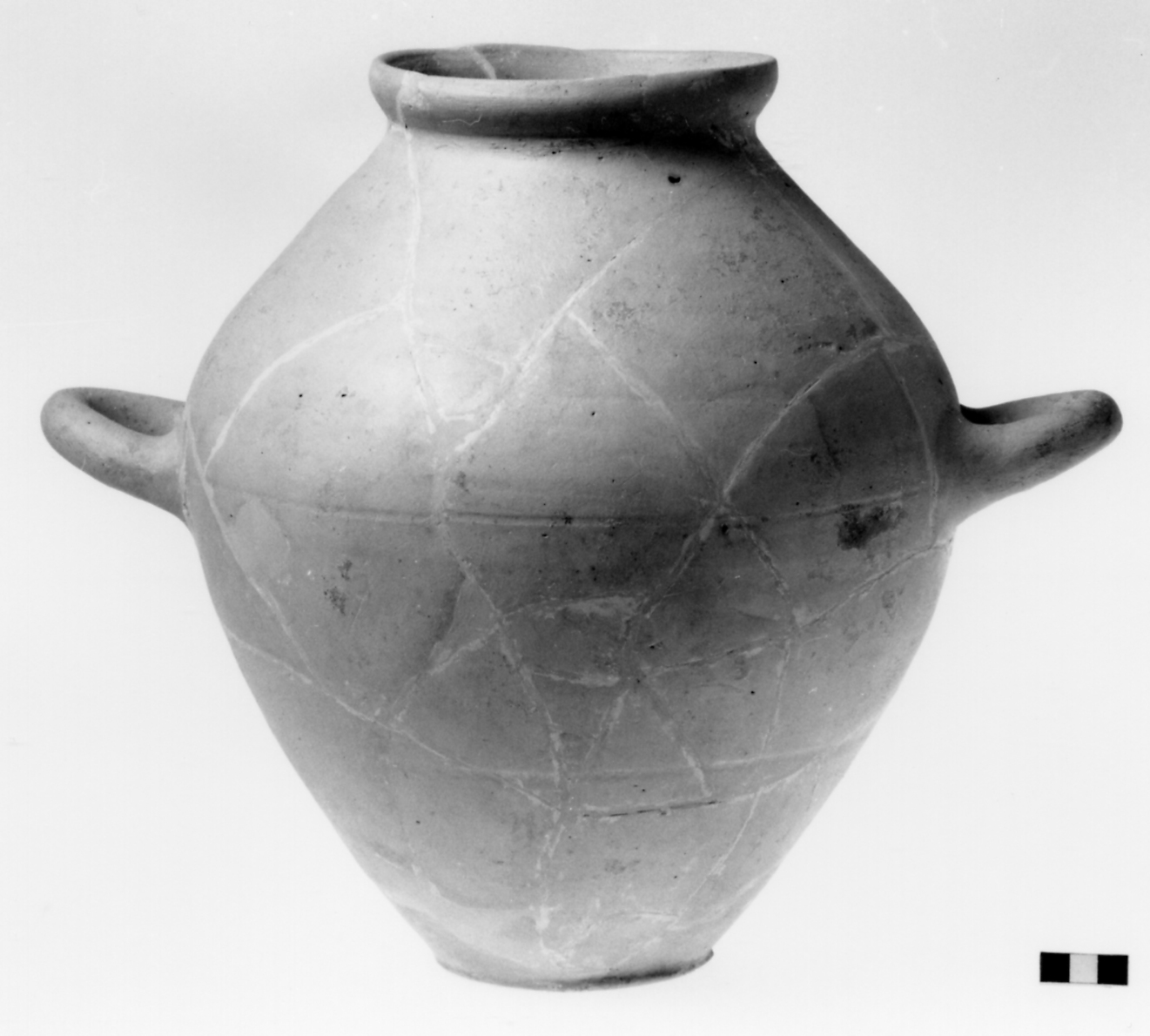 olla - fase Piceno V (sec. V a.C)