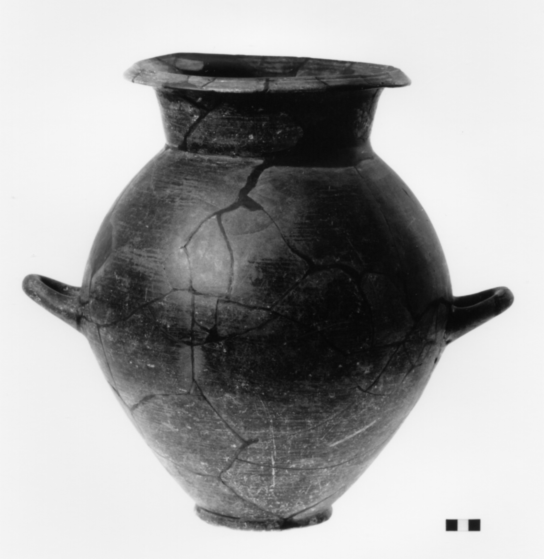 olla biansata a collo distinto - fase Piceno IV B (secc. VI - V a.C)