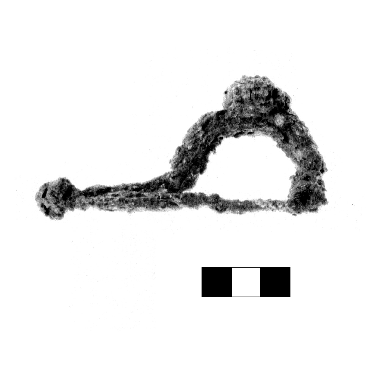 fibula ad arco ingrossato - fase Piceno IV A (sec. VI a.C)