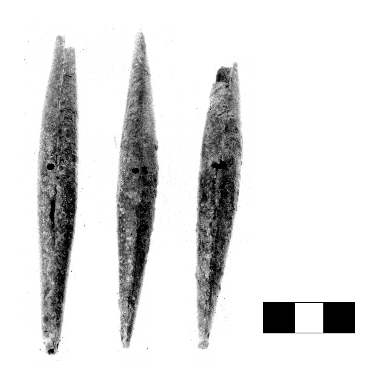 pendaglio - fase Piceno IV A (sec. VI a.C)