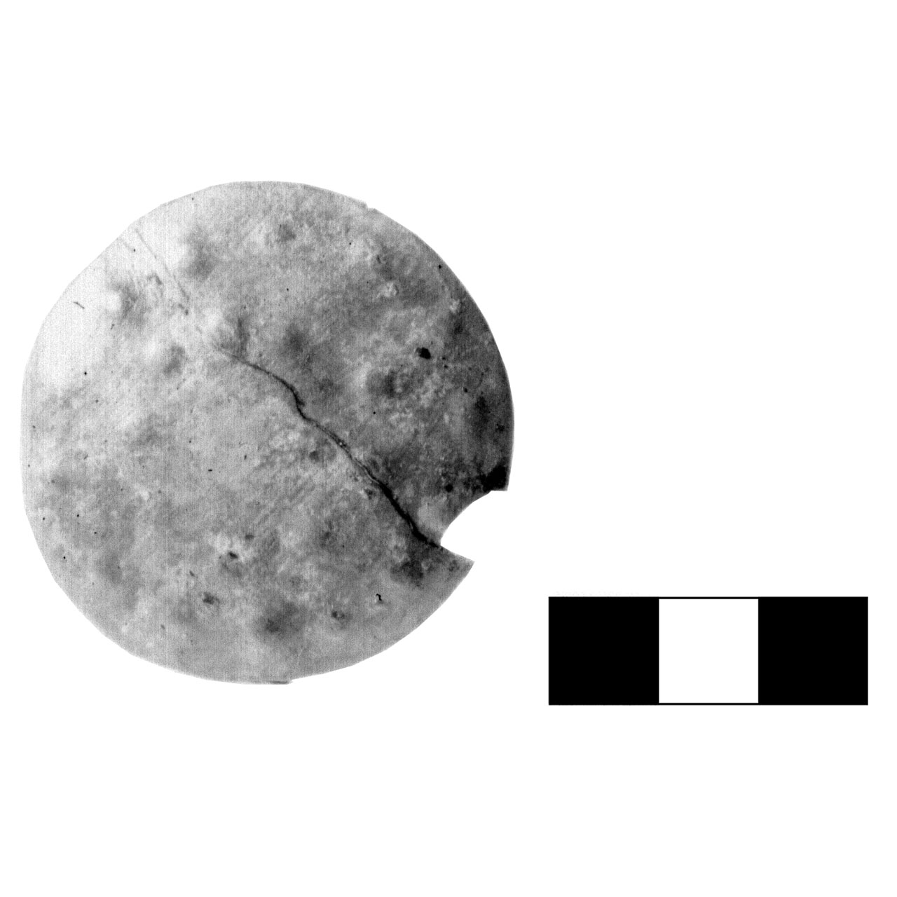 bottone - fase Piceno IV A (sec. VI a.C)