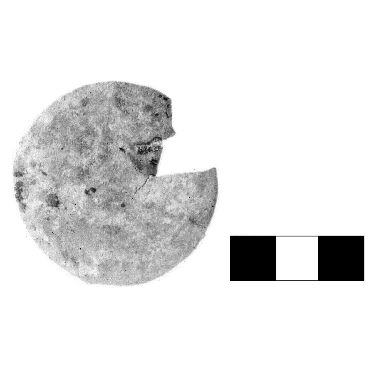 bottone - fase Piceno IV A (sec. VI a.C)