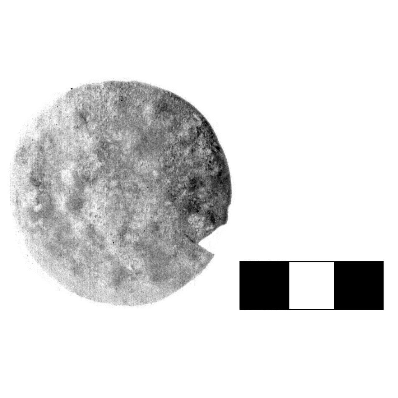 bottone - fase Piceno IV A (sec. VI a.C)