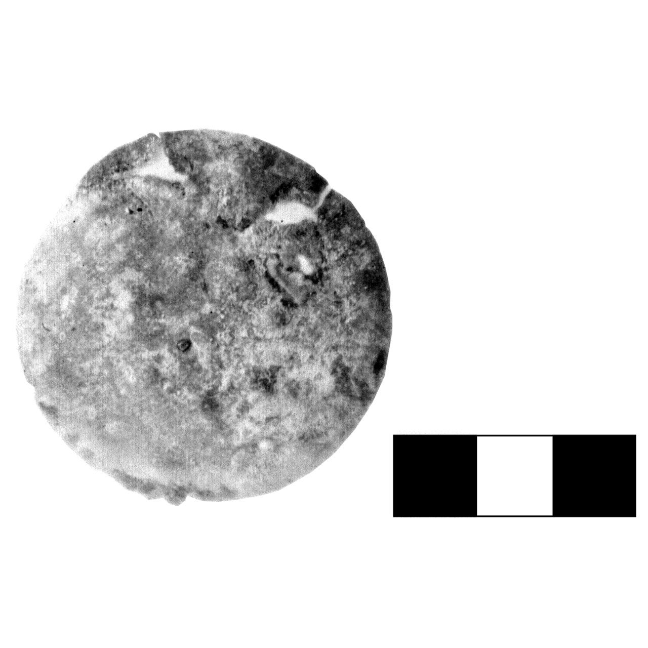 bottone - fase Piceno IV A (sec. VI a.C)