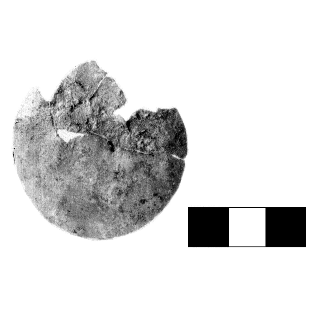 bottone - fase Piceno IV A (sec. VI a.C)